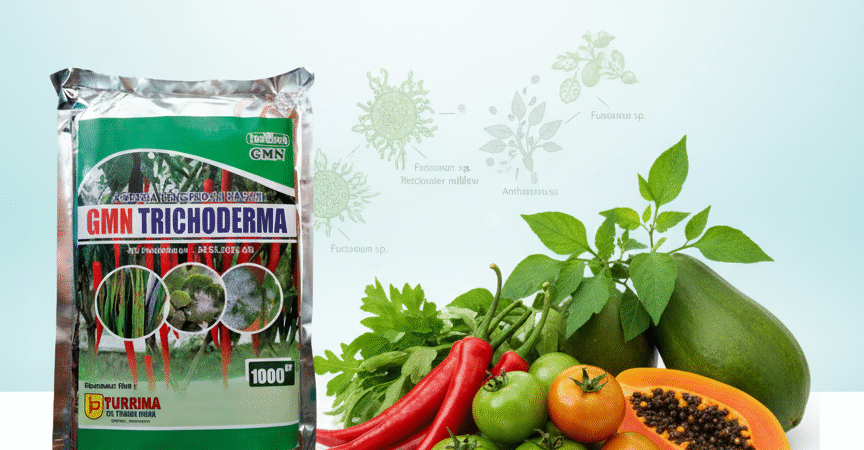 GROSIR.085-600-621-900, Jual obat busuk akar bawang merah Bengkalis, Harga obat busuk batang jagung palig ampuh Trenggalek,