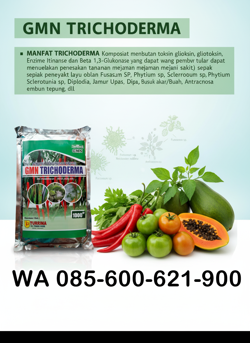 GROSIR.085-600-621-900, Jual obat busuk akar bawang merah Bengkalis, Harga obat busuk batang jagung palig ampuh Trenggalek,