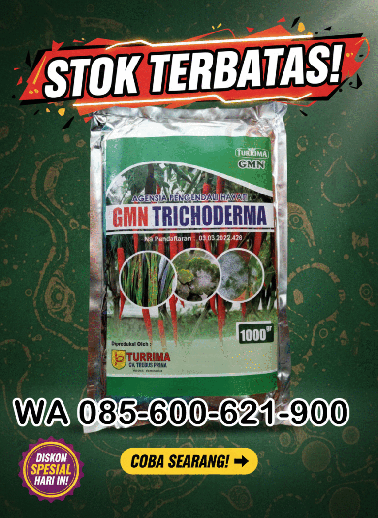 SUBUR.085-600-621-900, Jual obat busuk akar bawang merah Bogor, Harga obat busuk batang jagung palig ampuh Garut