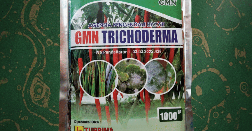 SUBUR.085-600-621-900, Jual obat busuk akar bawang merah Bogor, Harga obat busuk batang jagung palig ampuh Garut