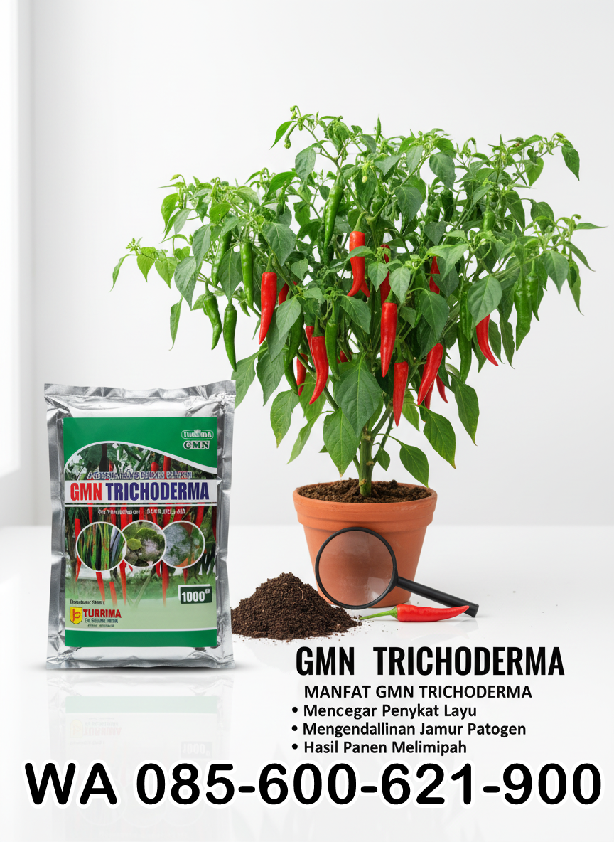 PROMO.085-600-621-900, Jual obat busuk akar cabai Banyuwangi, Harga obat busuk batang cabe paling ampuh