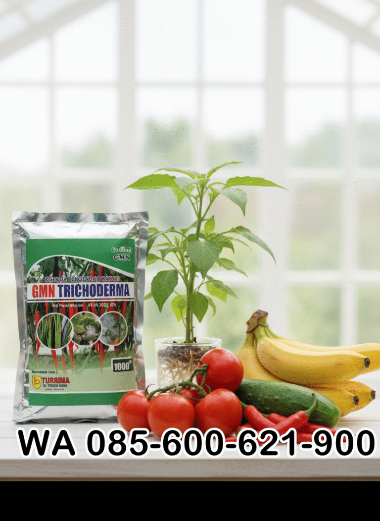 SUBUR.085-600-621-900, Jual obat busuk akar cabai Indramayu, Harga obat busuk batang cabe paling ampuh Cirebon