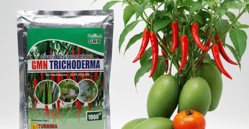 85-600-621-900, Jual trichoderma untuk layu fusarium Indramayu, agen tricoderma untuk layu fusarium, harga tricoderma untuk cabe