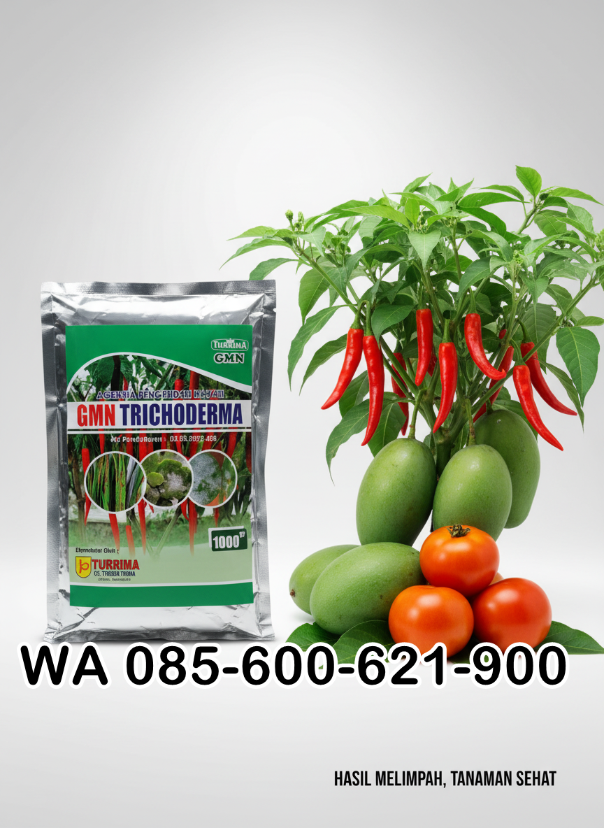 85-600-621-900, Jual trichoderma untuk layu fusarium Indramayu, agen tricoderma untuk layu fusarium, harga tricoderma untuk cabe
