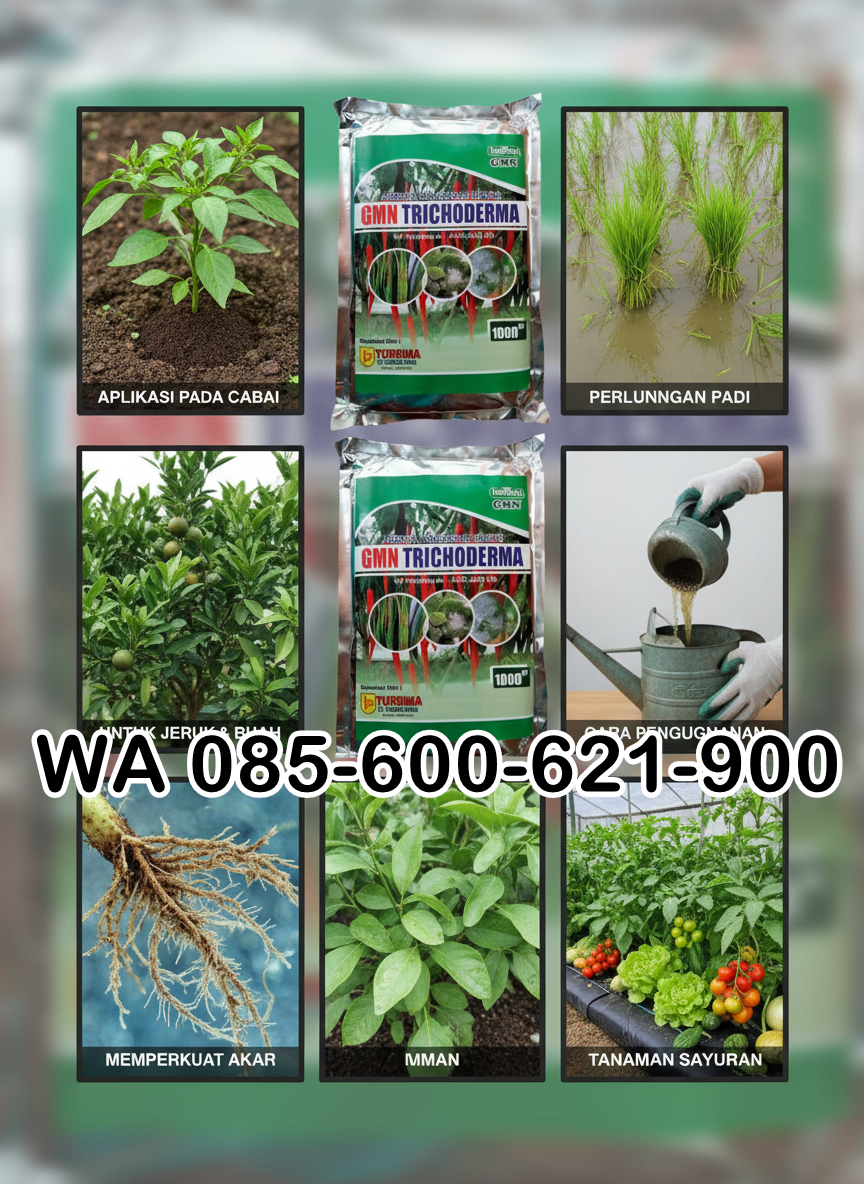 SUBUR.085-600-621-900, Jual trichoderma untuk pepaya, Harga trichoderma untuk kompos, Distributor trichoderma untuk antraknosa