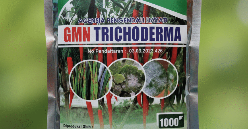 ONLINE.085-600-621-900, Pabrik obat busuk daun cabe Cianjur, Pusat obat busuk akar pada tanaman padi Sukabumi,