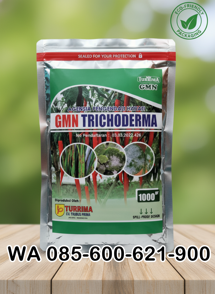 ONLINE.085-600-621-900, Pabrik obat busuk daun cabe Cianjur, Pusat obat busuk akar pada tanaman padi Sukabumi,