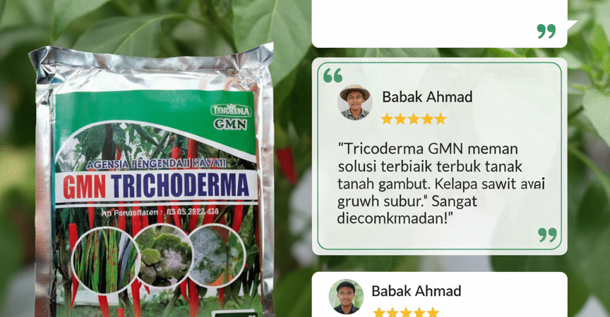 TERBATAS.085-600-621-900, Pabrik trichoderma untuk sawit, Pusat trichoderma untuk hidroponik, Jual trichoderma untuk pepaya
