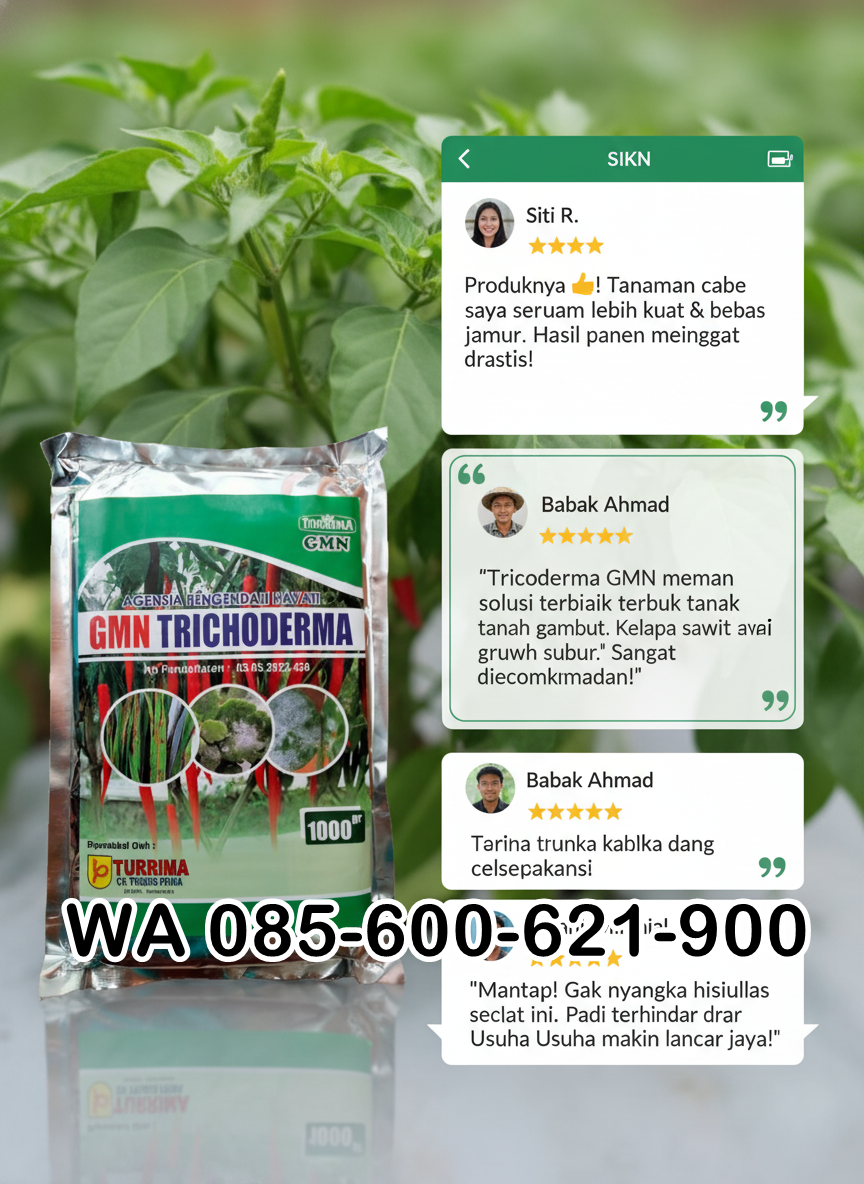 TERBATAS.085-600-621-900, Pabrik trichoderma untuk sawit, Pusat trichoderma untuk hidroponik, Jual trichoderma untuk pepaya