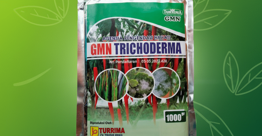 SUBUR.085-600-621-900, Pusat trichoderma untuk hidroponik, Jual trichoderma untuk pepaya, Harga trichoderma untuk kompos