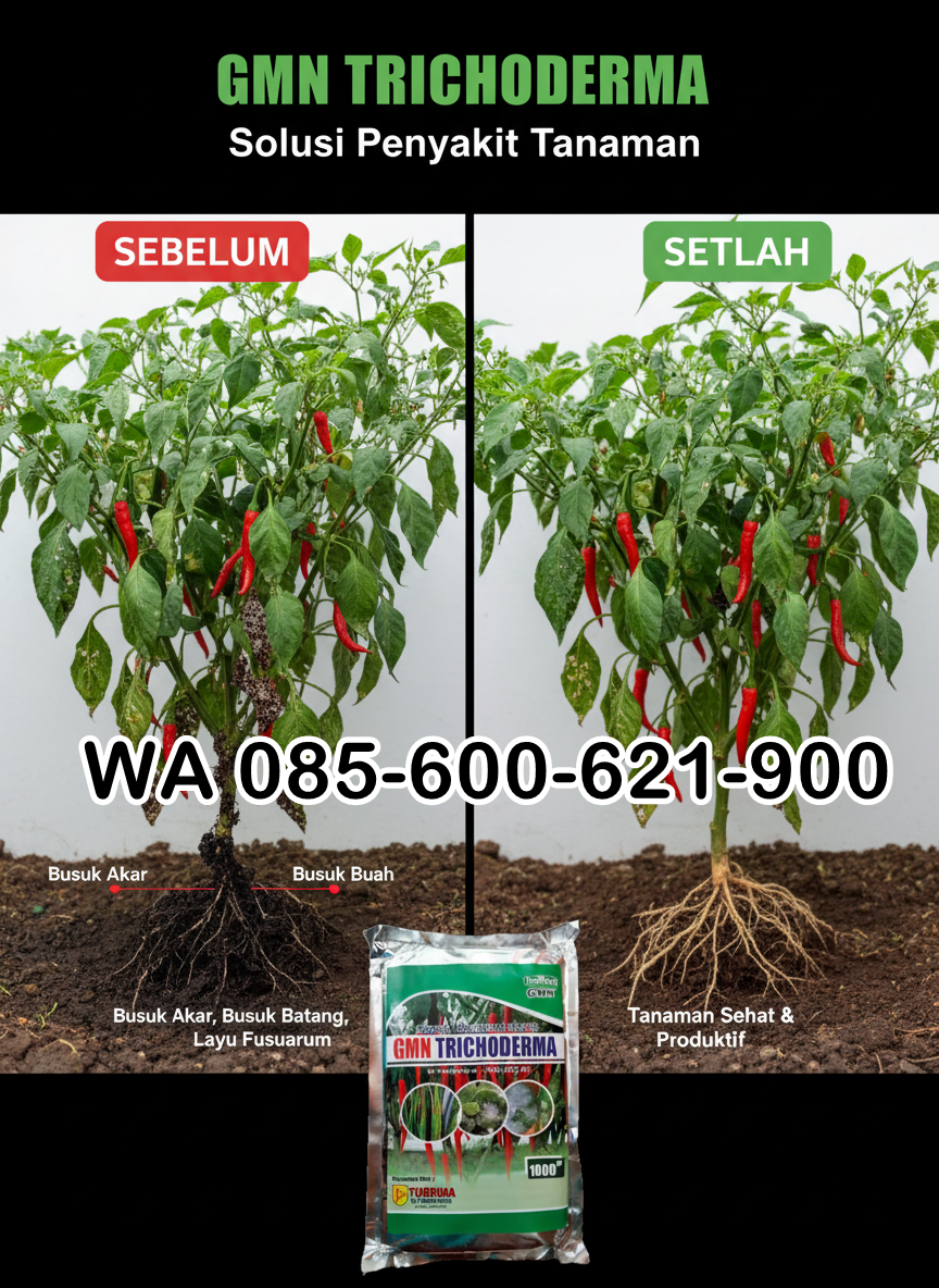 ONLINE.085-600-621-900, Pusat trichoderma untuk hidroponik Mesuji, Jual trichoderma untuk pepaya Tulang Bawang Barat, Harga trichoderma untuk kompos Pesawaran, Distr