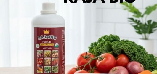 ORGANIK!!! TELP! 0823-2292-4990, AGEN Pupuk padi agar panen melimpah Bombana, DISTRIBUTOR Pupuk padi agar beranak banyak Maros, PRODUSEN Pupuk padi bunting Pinrang