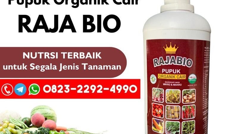 ALAMI!!! TELP! 0823-2292-4990, AGEN Pupuk tanaman padi cair Gresik, DISTRIBUTOR Pupuk padi darat Ponorogo, PRODUSEN Pupuk padi fase vegetatif Lamongan
