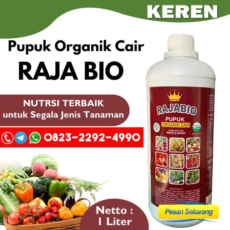 ALAMI!!! TELP! 0823-2292-4990, AGEN Pupuk tanaman padi cair Gresik, DISTRIBUTOR Pupuk padi darat Ponorogo, PRODUSEN Pupuk padi fase vegetatif Lamongan