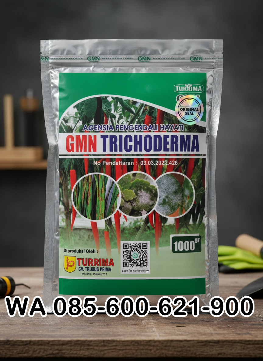 085-600-621-900, Agen trichoderma untuk anggur Cirebon, Jual trichoderma untuk layu fusarium, Harga Trichoderma untuk cabe