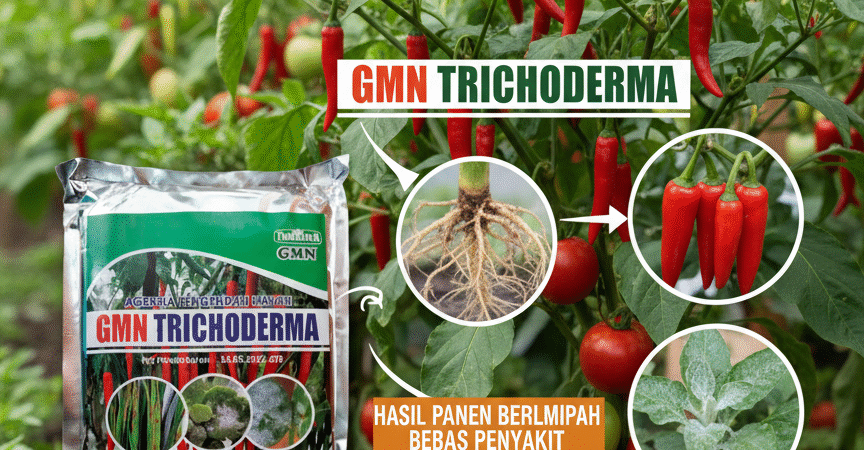 ONLINE.085-600-621-900, Agen trichoderma untuk anggur Kepulauan Meranti, Jual trichoderma untuk layu fusarium Kampar, Harga trichoderma untuk cabe Pelalawan,