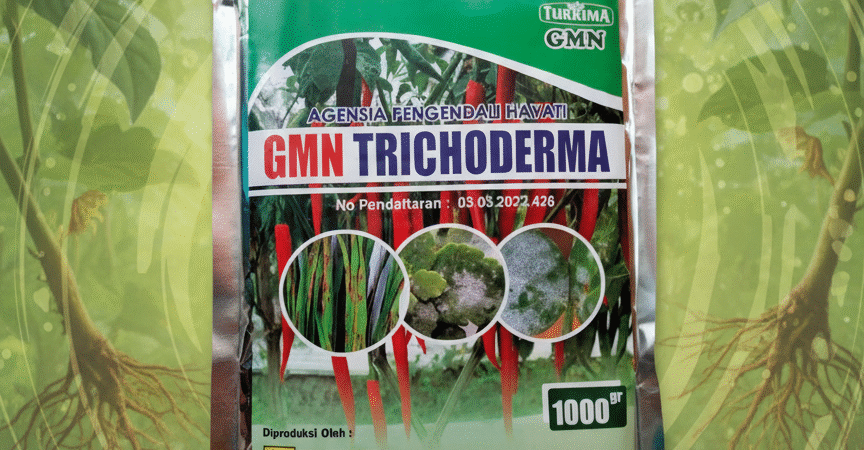 085-600-621-900, Agen trichoderma untuk padi Cianjur, jual tricoderma untuk layu fusarium, harga tricoderma untuk cabe