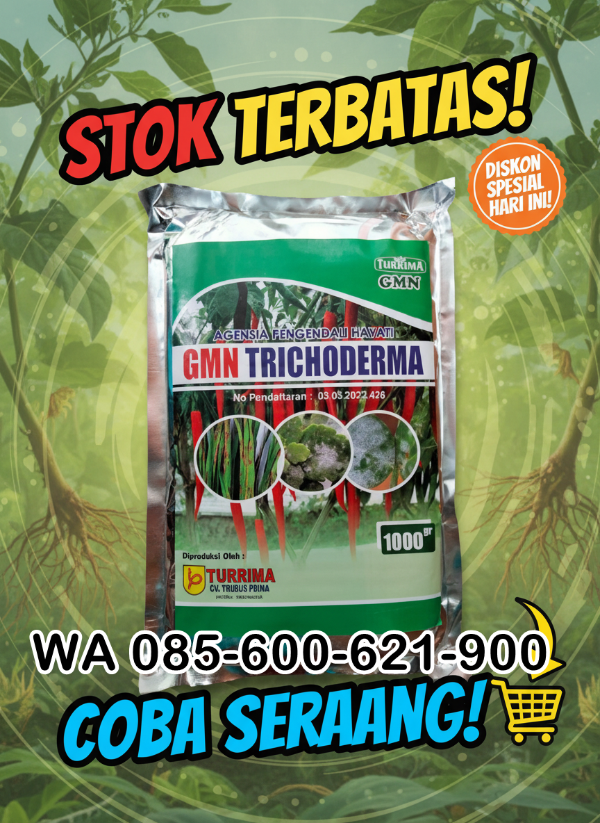 085-600-621-900, Agen trichoderma untuk padi Cianjur, jual tricoderma untuk layu fusarium, harga tricoderma untuk cabe