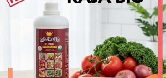 ALAMI!!! TELP! 0823-2292-4990, DISTRIBUTOR Pupuk padi agar beranak banyak Maros, PRODUSEN Pupuk padi bunting Pinrang, TOKO Pupuk padi baru tanam Polewali Mandar