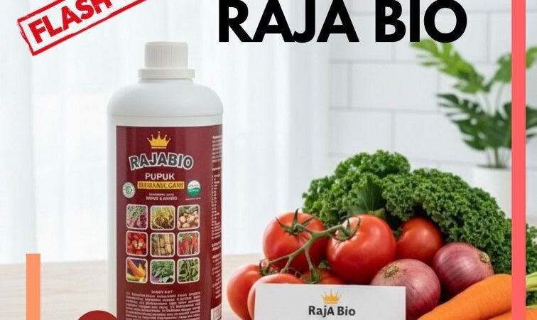 ALAMI!!! TELP! 0823-2292-4990, DISTRIBUTOR Pupuk padi agar beranak banyak Maros, PRODUSEN Pupuk padi bunting Pinrang, TOKO Pupuk padi baru tanam Polewali Mandar