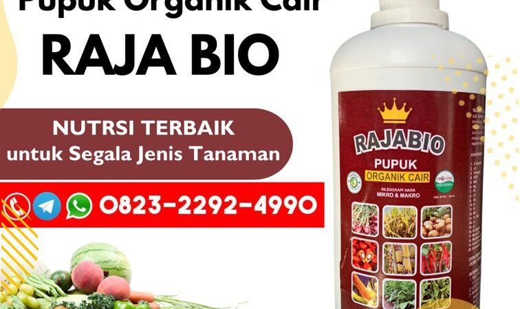 AMPUH!!! TELP! 0823-2292-4990, DISTRIBUTOR Pupuk padi darat Ponorogo, PRODUSEN Pupuk padi fase vegetatif Lamongan, TOKO Pupuk padi gogo Ngawi