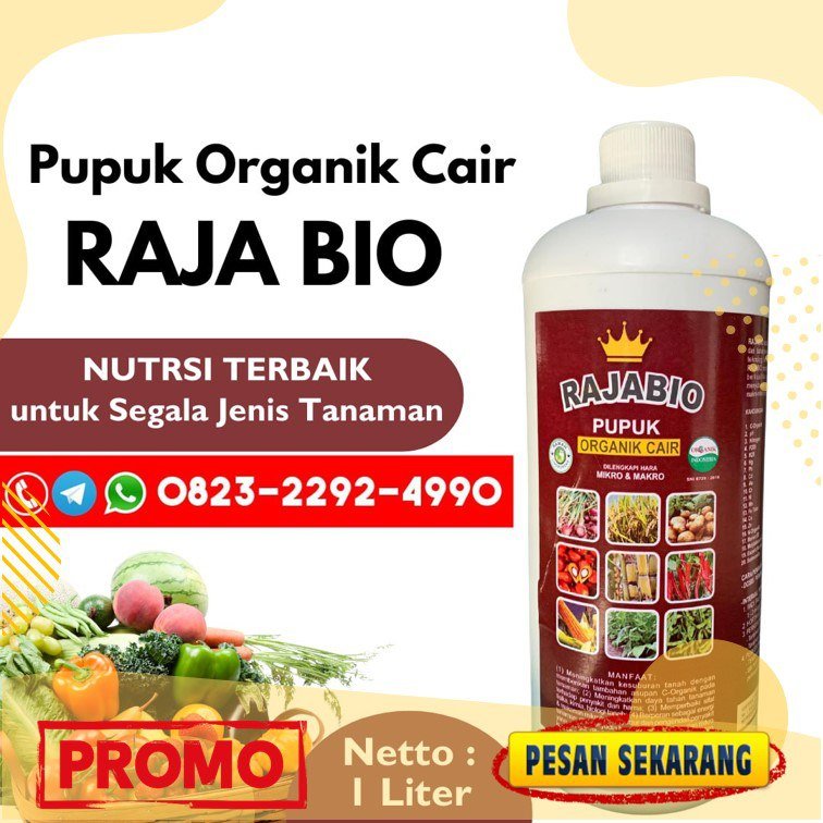AMPUH!!! TELP! 0823-2292-4990, DISTRIBUTOR Pupuk padi darat Ponorogo, PRODUSEN Pupuk padi fase vegetatif Lamongan, TOKO Pupuk padi gogo Ngawi