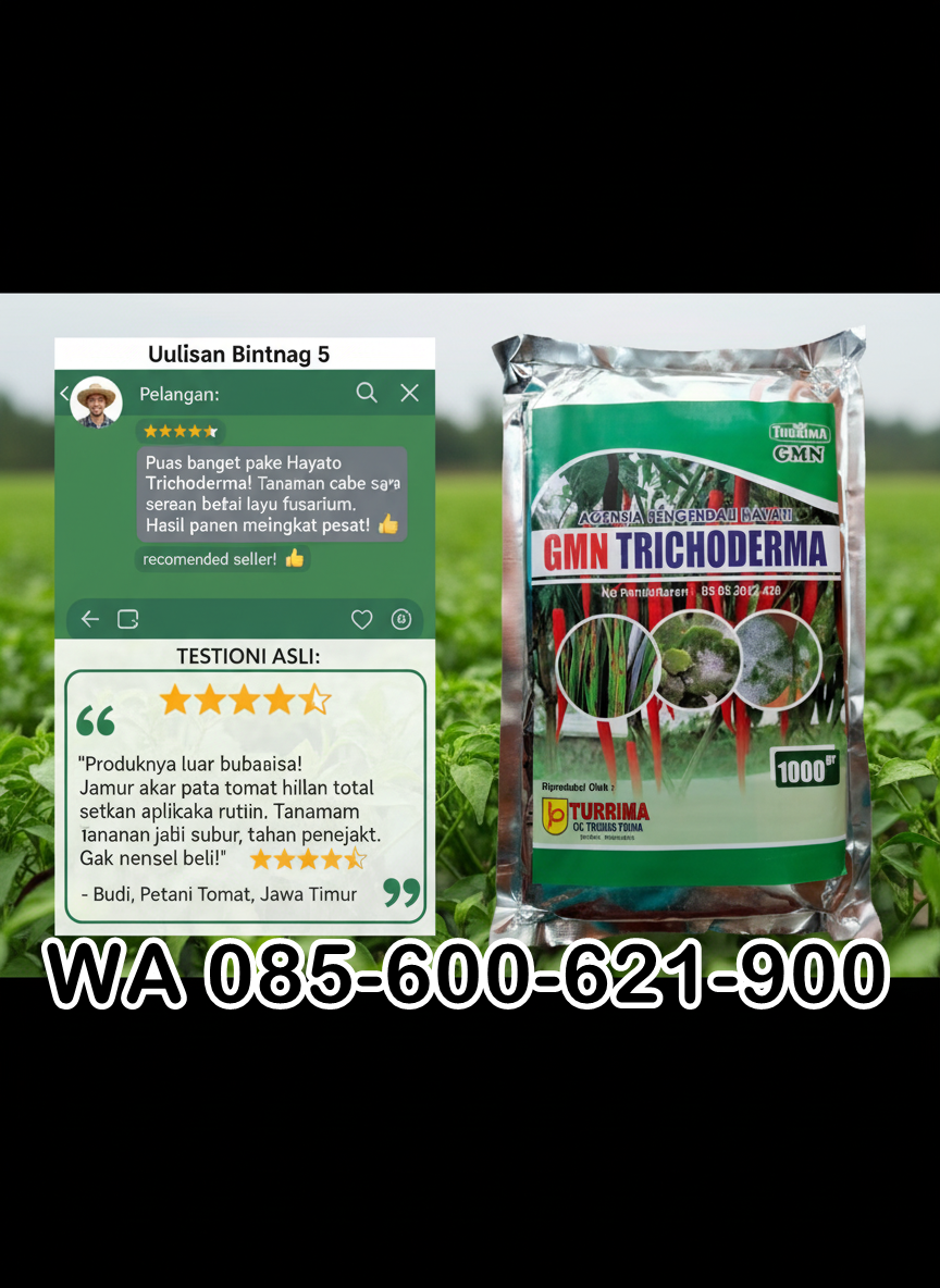 085-600-621-900, Distributor trichoderma untuk antraknosa Garut, Jual Trichoderma untuk layu fusarium, Agen Trichodema