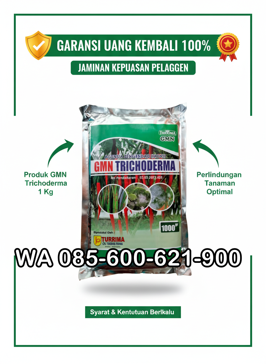 SUBUR.085-600-621-900, Distributor trichoderma untuk bawang merah Siak, Agen trichoderma untuk padi Indragiri Hilir, Pabrik trichoderma untuk sawit Rokan Hulu