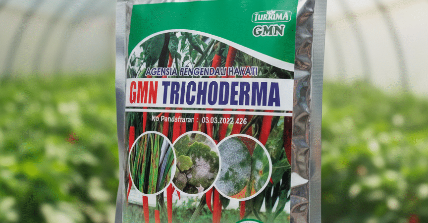 BERKUALITAS.085-600-621-900, Distributor trichoderma untuk bawang merah Subang, Agen trichoderma untuk padi Cianjur, Pabrik trichoderma untuk sawit Bandung