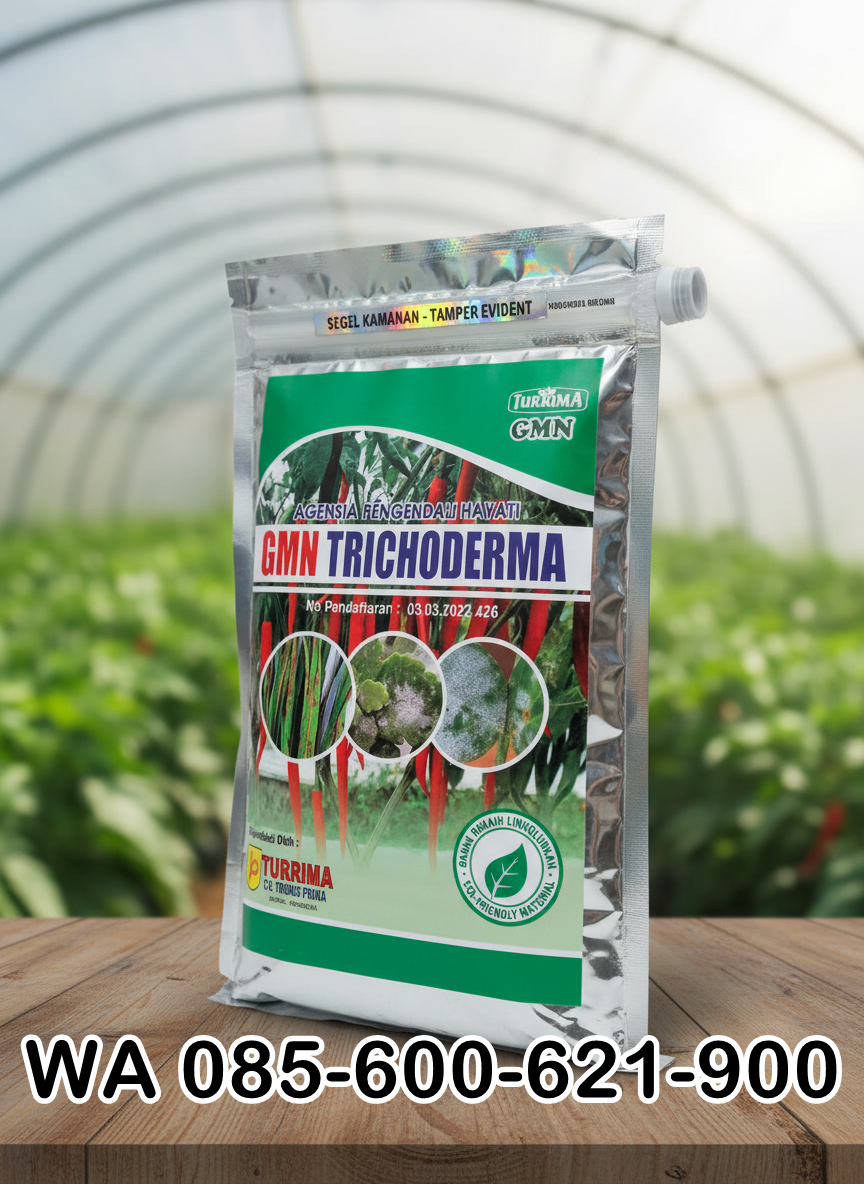 BERKUALITAS.085-600-621-900, Distributor trichoderma untuk bawang merah Subang, Agen trichoderma untuk padi Cianjur, Pabrik trichoderma untuk sawit Bandung