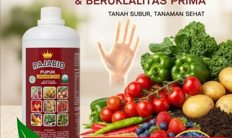 ALAMI!!! TELP! 0856-0062-1900, DISTRIBUTOR Pupuk bawang bombay Karawang, PRODUSEN Pupuk cor bawang merah Cirebon, TOKO Pupuk cair bawang merah Subang