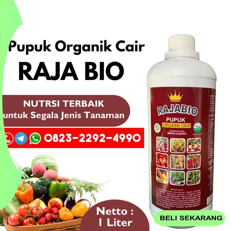 SEDANG DISKON!!! TELP! 0823-2292-4990, PABRIK Pupuk cair padi super Madiun, JUAL Pupuk daun padi cair Nganjuk, AGEN Pupuk tanaman padi cair Gresik