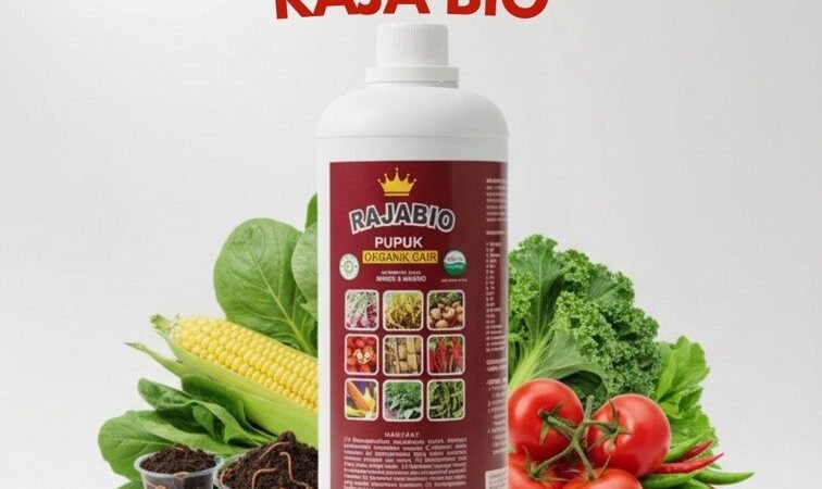 ORGANIK!!! TELP! 0856-0062-1900, PABRIK Pupuk organik cair bawang merah Nagekeo, JUAL Pupuk organik cair Sumba Barat Daya, AGEN Pupuk organik RAJABIO Malaka