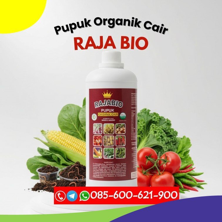 ORGANIK!!! TELP! 0856-0062-1900, PABRIK Pupuk organik cair bawang merah Nagekeo, JUAL Pupuk organik cair Sumba Barat Daya, AGEN Pupuk organik RAJABIO Malaka