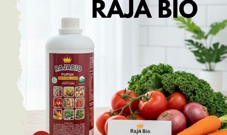 SEDANG DISKON!!! TELP! 0823-2292-4990, JUAL Pupuk padi agar anakan banyak Makassar, AGEN Pupuk padi agar panen melimpah Bombana, DISTRIBUTOR Pupuk padi agar beranak banyak Maros