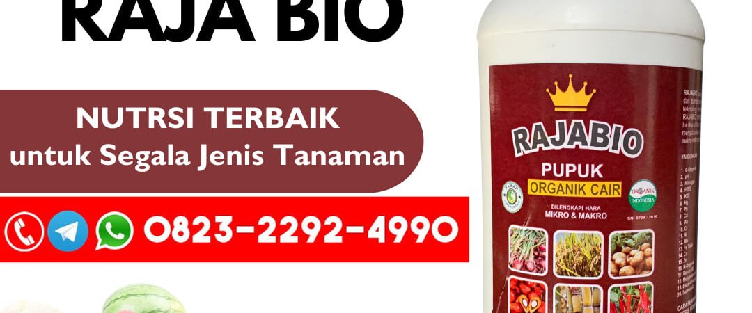 ORGANIK!!! TELP! 0823-2292-4990, JUAL Pupuk daun padi cair Nganjuk, AGEN Pupuk tanaman padi cair Gresik, DISTRIBUTOR Pupuk padi darat Ponorogo