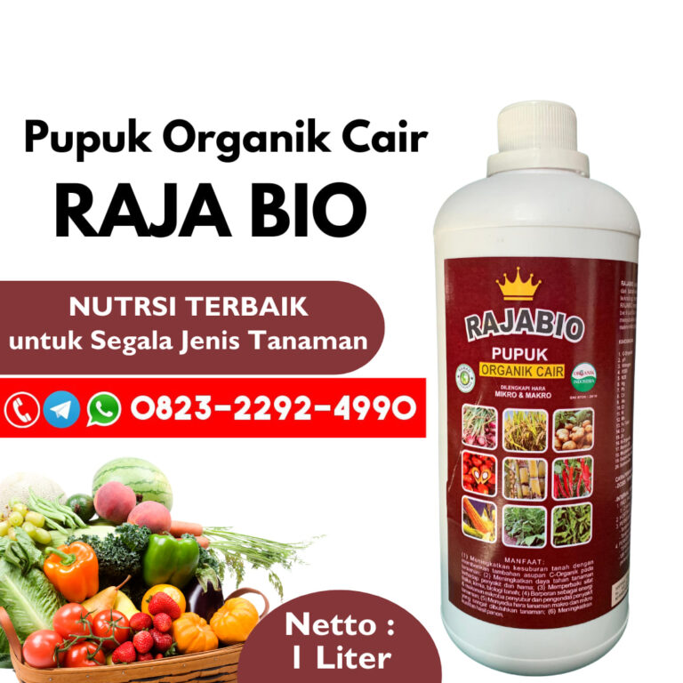 ORGANIK!!! TELP! 0823-2292-4990, JUAL Pupuk daun padi cair Nganjuk, AGEN Pupuk tanaman padi cair Gresik, DISTRIBUTOR Pupuk padi darat Ponorogo