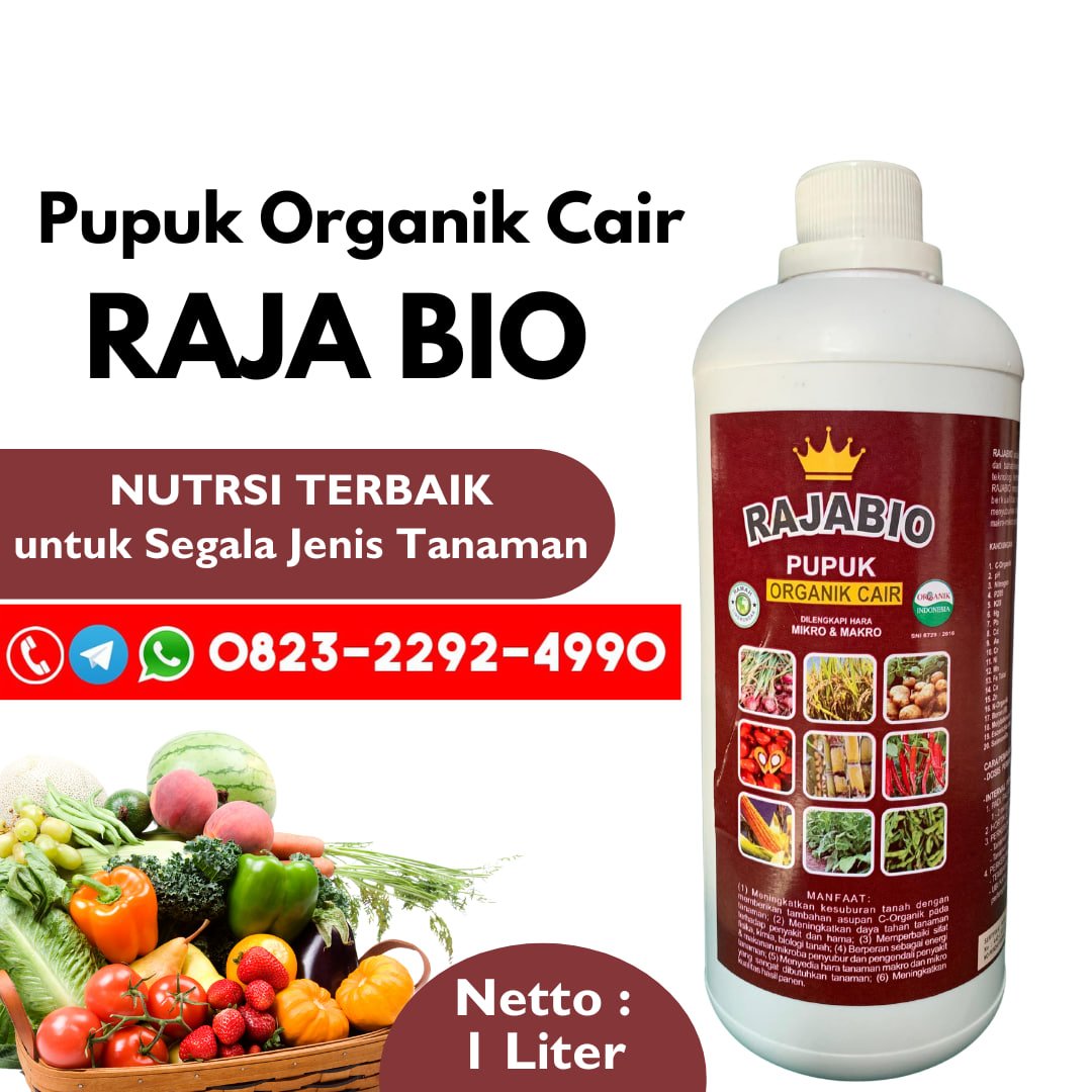 ORGANIK!!! TELP! 0823-2292-4990, JUAL Pupuk daun padi cair Nganjuk, AGEN Pupuk tanaman padi cair Gresik, DISTRIBUTOR Pupuk padi darat Ponorogo