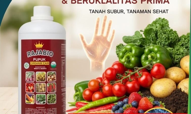 AMPUH!!! TELP! 0856-0062-1900, PRODUSEN Pupuk cor bawang merah Cirebon, TOKO Pupuk cair bawang merah Subang, SUPPLIER Pupuk cair bawang Bogor