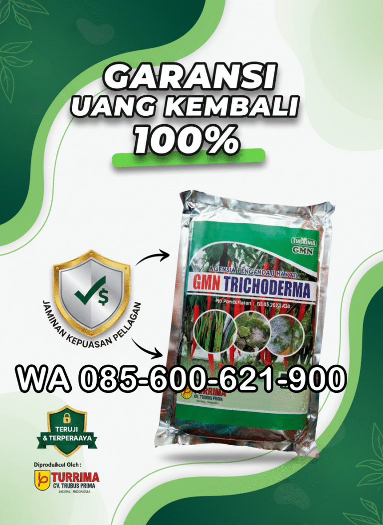 PROMO.085-600-621-900, Pabrik trichoderma untuk sawit Rokan Hulu, Pusat trichoderma untuk hidroponik Rokan Hilir, Jual trichoderma untuk pepaya Bengkalis,