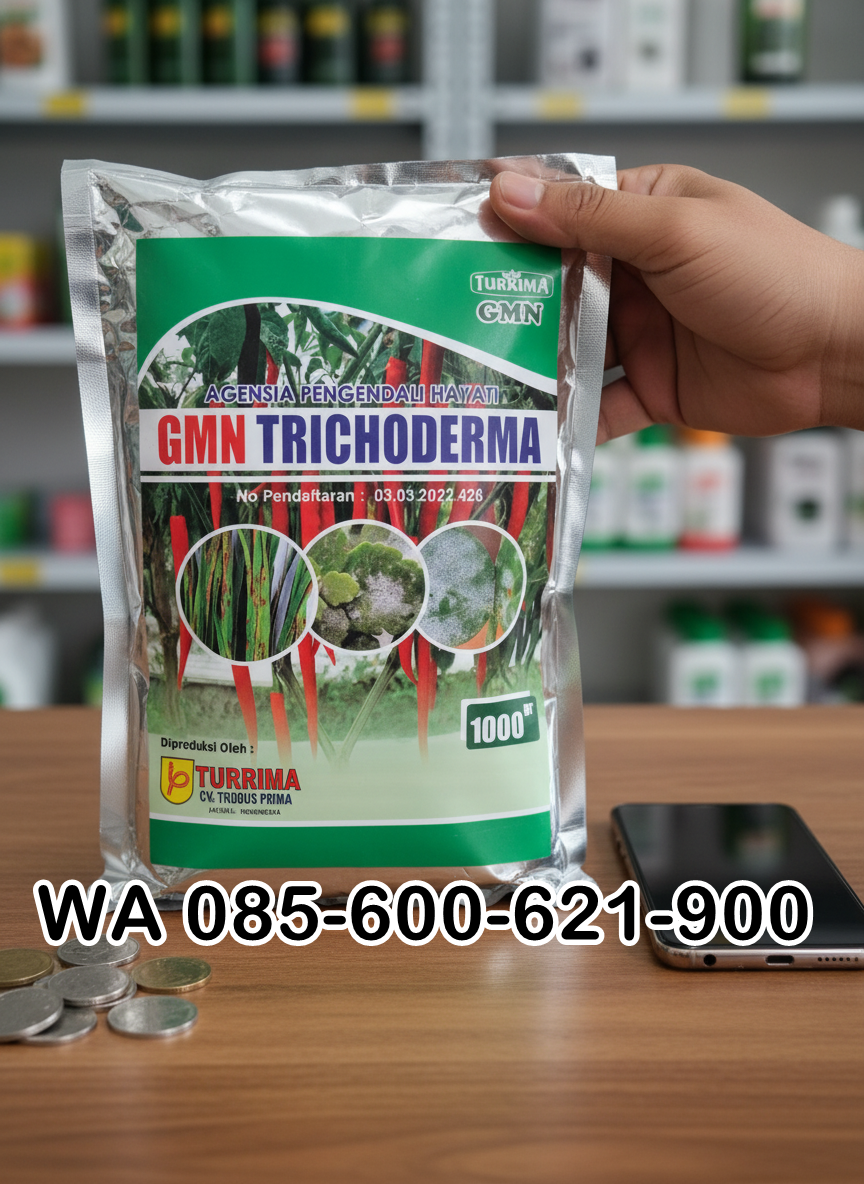 085-600-621-900, Pusat trichoderma untuk hidroponik Bandung Barat, jual trichoderma untuk layu fusarium, harga tricoderma untuk cabe