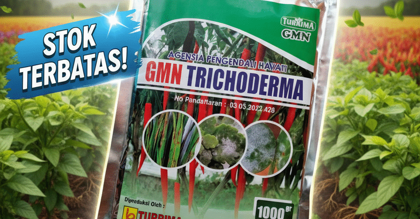 SUBUR.085-600-621-900, Pusat trichoderma untuk hidroponik Rokan Hilir, Jual trichoderma untuk pepaya Bengkalis,