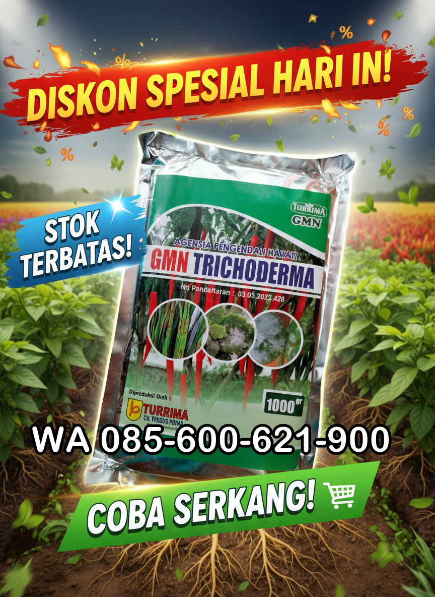 SUBUR.085-600-621-900, Pusat trichoderma untuk hidroponik Rokan Hilir, Jual trichoderma untuk pepaya Bengkalis,