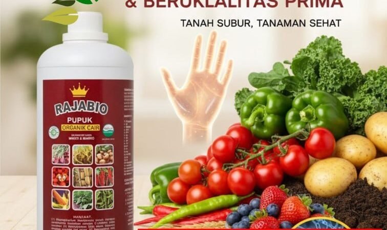 TERBAIK!!! TELP! 0856-0062-1900, TOKO Pupuk cair bawang merah Subang, SUPPLIER Pupuk cair bawang Bogor, PENYEDIA Pupuk organik cair bawang merah Bandung