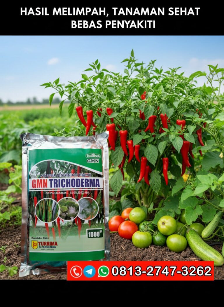 TERBAIK!!! TELP! 0813-2747-3262, AGEN Pupuk trico Pati, DISTRIBUTOR Pupuk GMN Trichoderma Kebumen, PRODUSEN Pupuk hayati Trichoderma Cilacap
