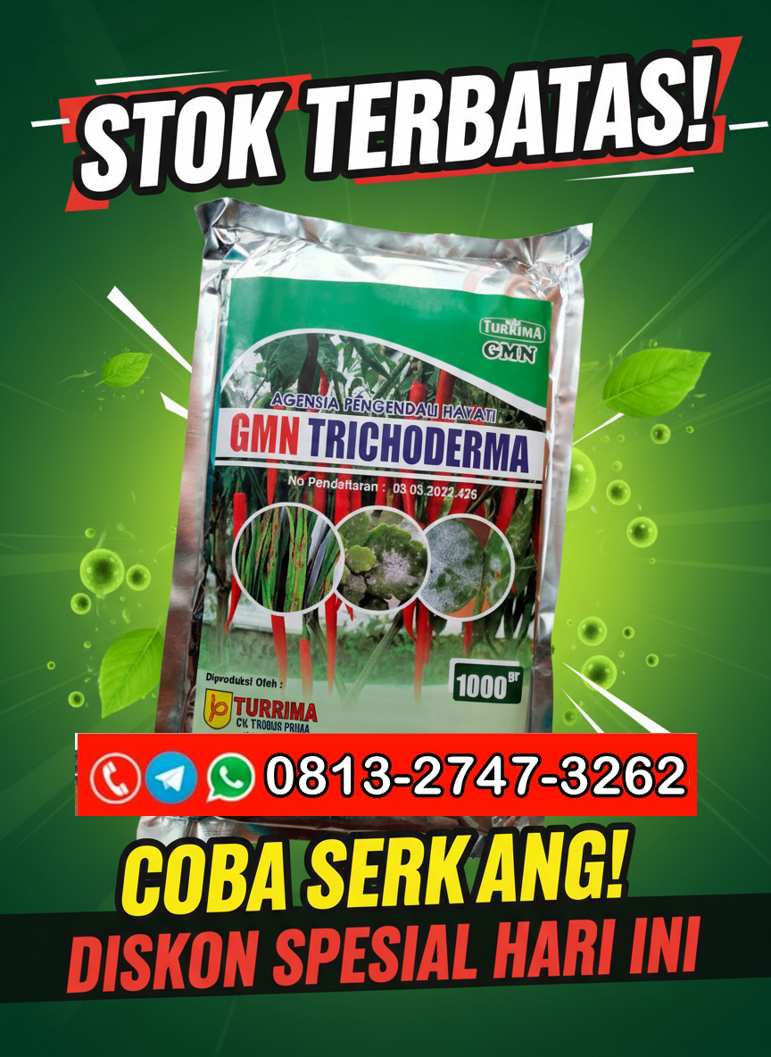 PROMO AMBYAR!!! TELP! 0813-2747-3262, AGEN Pupuk dasar Trichoderma Jember, DISTRIBUTOR Pupuk Trichoderma fungisida Sidoarjo, PRODUSEN Pupuk trico Banyuwangi