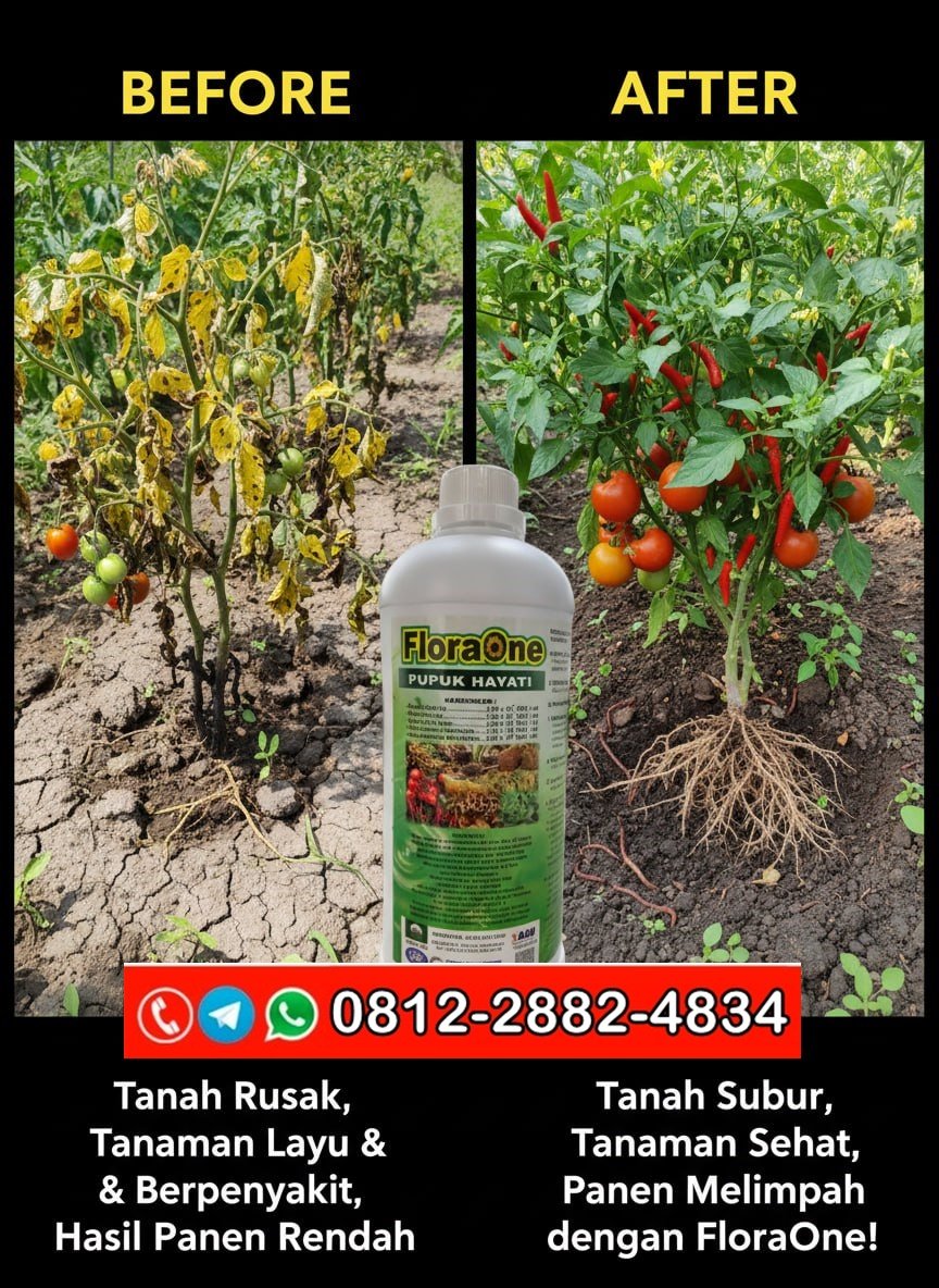 TERBAIK!!! TELP! 0812-2882-4834, AGEN Pupuk cair lengkap Luwu, DISTRIBUTOR Pupuk cair padi Takalar, PRODUSEN Pupuk anti layu Makassar