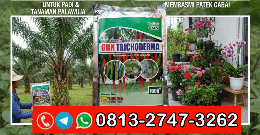 AMPUH!!! TELP! 0813-2747-3262, AGEN Trichoderma hayati Lamongan, DISTRIBUTOR Trichoderma 1 kg Pacitan, PRODUSEN Pupuk Trichoderma Kota Surabaya
