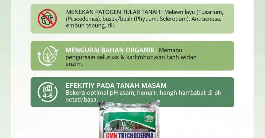 TERBUKTI!!! TELP! 0813-2747-3262, AGEN Trichoderma bubuk Purbalingga, DISTRIBUTOR Trichoderma fungisida Banjarnegara, PRODUSEN Trichoderma fusarium Grobogan