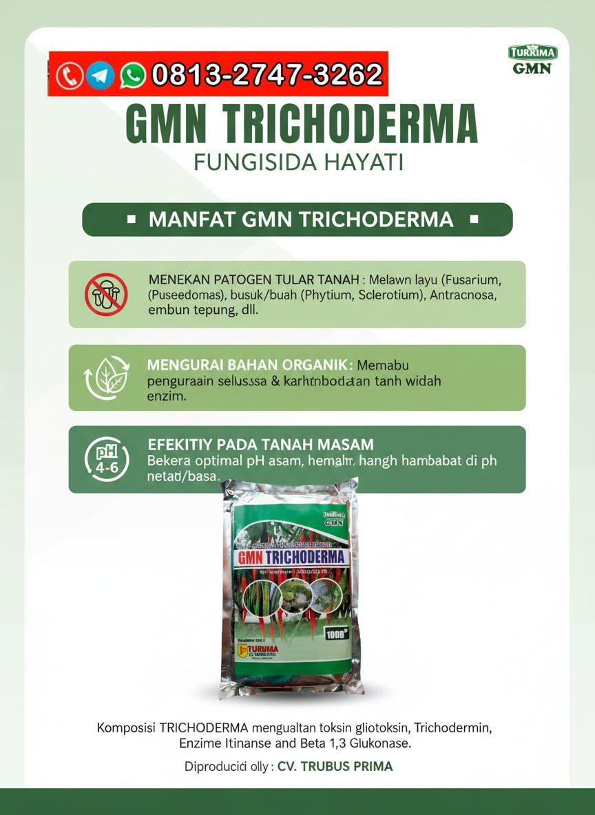 TERBUKTI!!! TELP! 0813-2747-3262, AGEN Trichoderma bubuk Purbalingga, DISTRIBUTOR Trichoderma fungisida Banjarnegara, PRODUSEN Trichoderma fusarium Grobogan